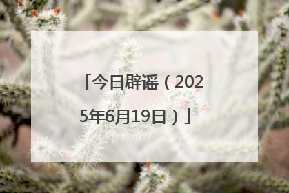 今日辟谣（2025年6月19日）